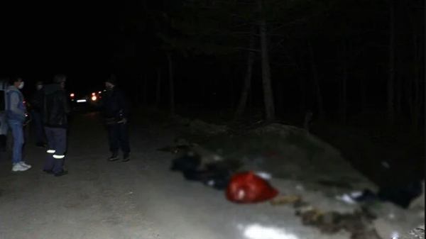 Ankara'da Yine Bir Mezalim: 30'dan Fazla Köpek Psikopatça Katledilmiş