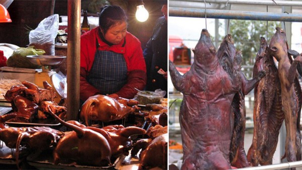 DSÖ: Derhal Canlı Hayvan Pazarlarını Kapatın