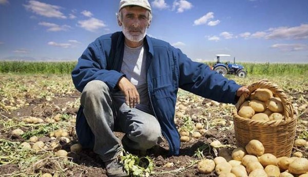 Tarımda Üretici Fiyatları Son 20 Ayın Zirvesinde