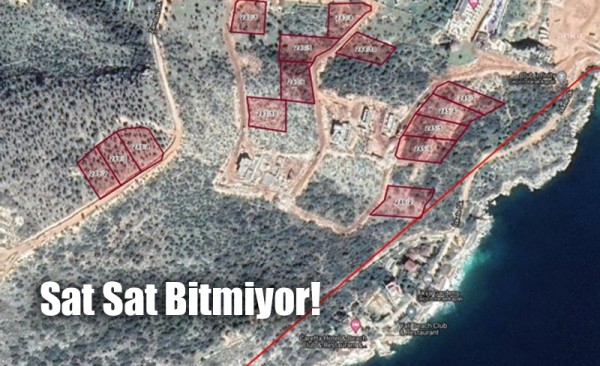 Kaş'ta Ağaçlık ve Denize Yakın 14 Arazi Satışa Çıkarıldı