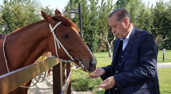 Erdoğan: 2021'de Şahlanacağız