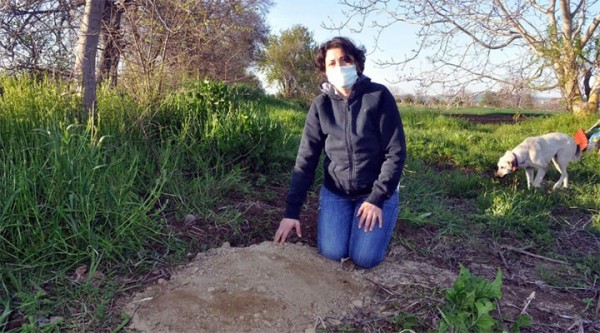 Tekirdağ'da Tüfekle Vurulan 2 Köpekten Biri Öldü
