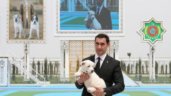 Türkmenistan'da Yerli Çoban Köpekleri Alabayların Onuruna Ulusal Bayram