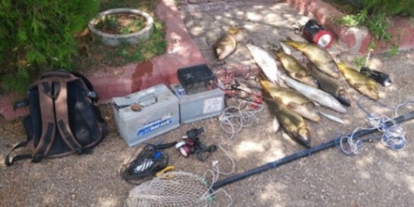 Balık Avlamak için Suya Elektrik Verdi, Hayatına Mal Oldu