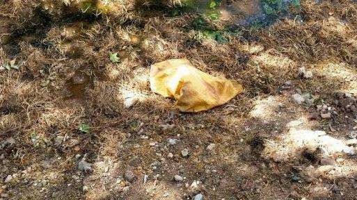 Adıyaman'da Köpekleri Torbaya Doldurup Dereye Attılar 