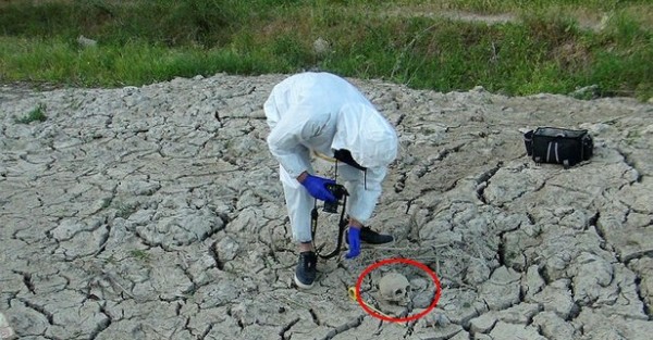 Portakal Bahçesini Sulamaya Gitti, Kafatası Buldu