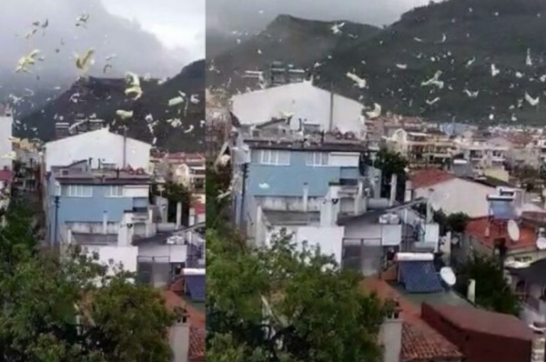 Çanakkale'de Fırtına Nedeniyle Bir Evin Çatısı Uçtu