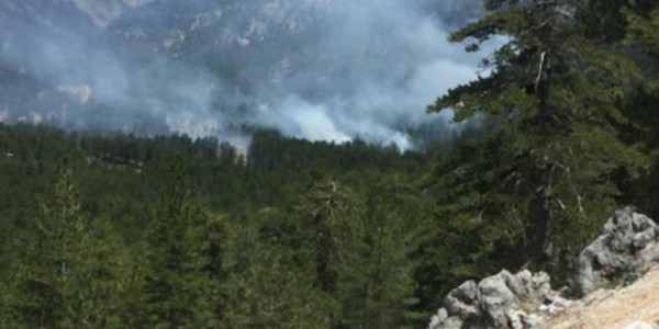Alanya'da Orman Yangını
