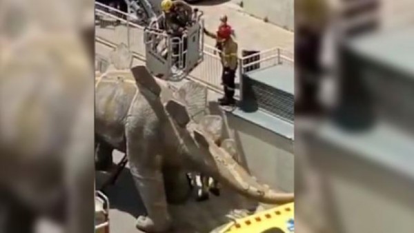 Kayıp Adamın Cesedi Dinozor Heykelinin İçinden Çıktı