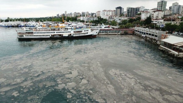 Bakan Kurum'dan Deniz Salyası Açıklaması: 'Acil Eylem Planı Hazırlıyoruz'