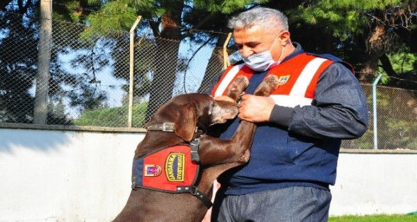 Dedektör Köpek Volta Görev Süresini Tamamlayarak 'Emekliye' Ayrıldı