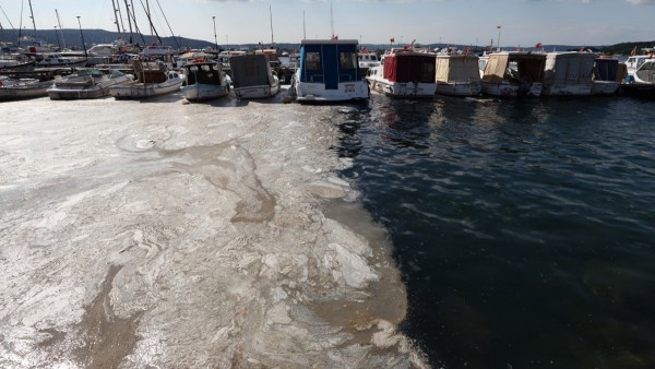 Deniz Salyası Ege Denizi'ne Akmaya Başladı