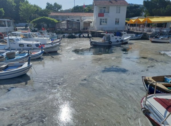 Müsilaj Bozcaada'yı Sardı
