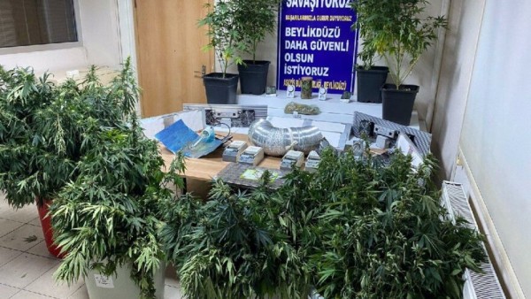Elektrik Faturası Ele Verdi: 87 Kök Hint Keneviri Ele Geçirildi