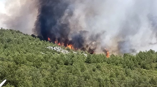 Kaş'ta Orman Yangını: Alevler Yerleşim Alanına Yaklaştı