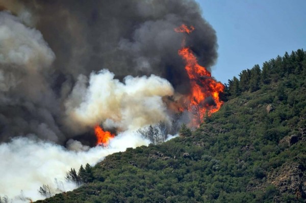 Marmaris'teki Yangında Bir Personel Hayatını Kaybetti