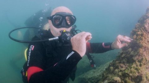 Tunç Soyer İzmir Körfezi'nde Müsilajdan Eser Bulamadı