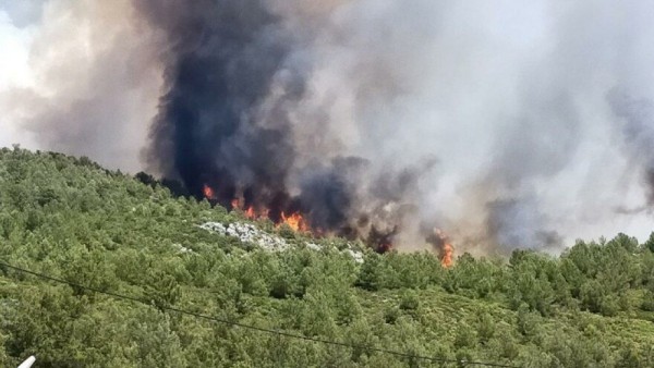 Muğla Dalaman'da Yangının Başladığı Kağıt Fabrikası Kapatıldı