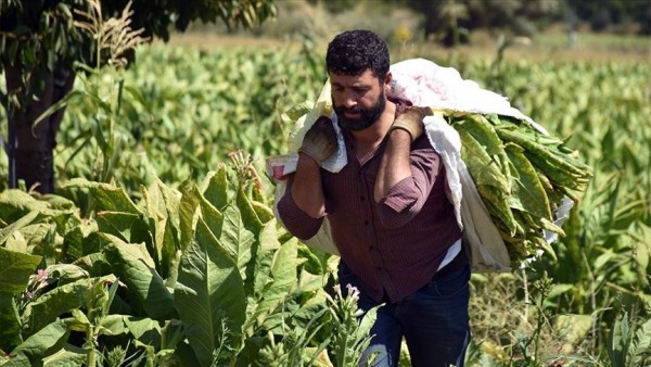 Tütün Ticareti Yasağı Yürürlüğe Girdi