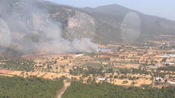 Antalya Kaş'ta Bir Zeytinlik Cayır Cayır Yandı