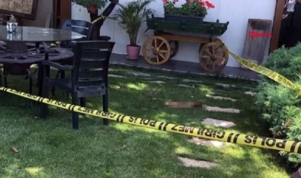 Sakarya'da Bir Köpeğin Ağzında İnsan Uzvu Görüldü