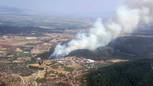 İzmir Foça'da Orman Yangını