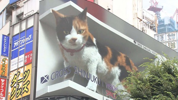Tokyo'nun En İşlek Yerinde Dev Bir Kedi