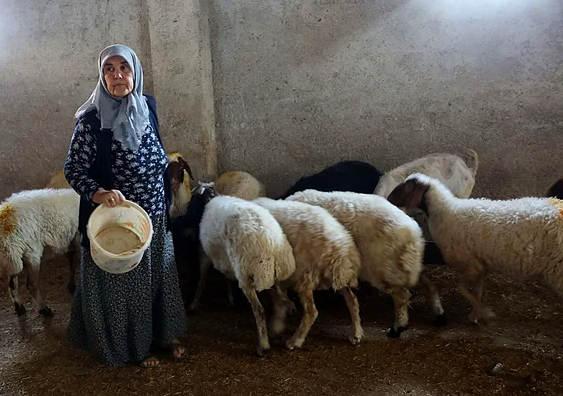 ''Kadınsın, Yapamazsın'' Diyenlere İnat Tek Başına Çiftlik Kurdu