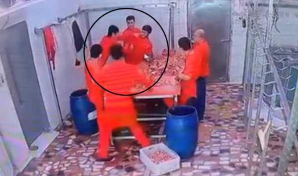 Kokuyorsun Dedi Diye Kalbinden Bıçakladı
