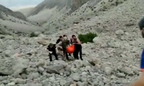 Tunceli'de Bir Çinliye Ayı Saldırısı