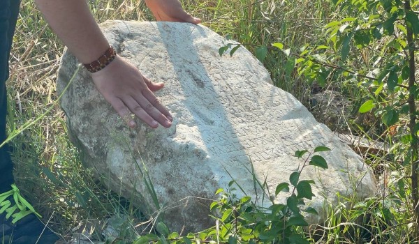 Tarlada Tarihi Taşın Üzerinde İşlenmiş Kitabe Bulundu
