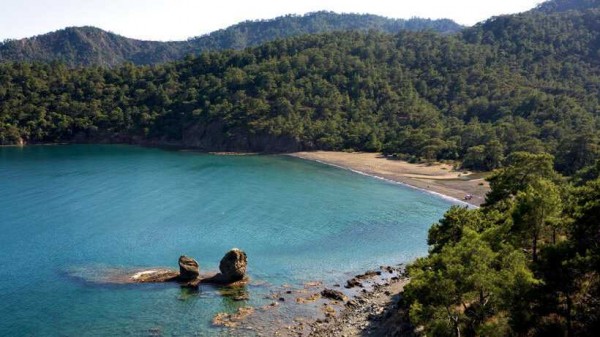 Alacasu Koyu Özel Bir Şirkete Kiralandı