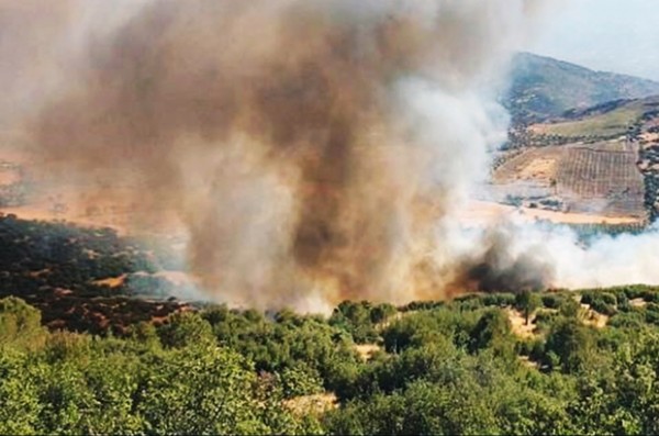 Muğla'daki Orman Yangınıyla İlişkili Olarak 1 Kişi Tutuklandı