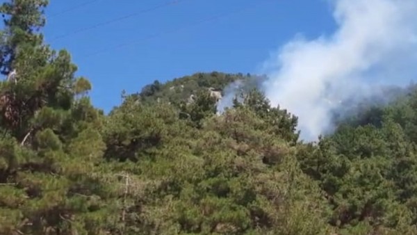 Adana'da Orman Yangını