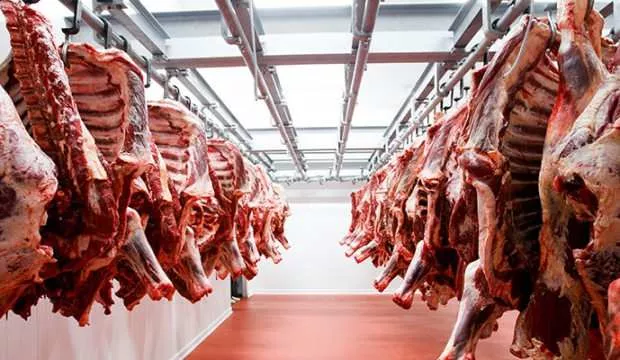 Hindistan'dan İthal Edilen Dondurulmuş Etlerde Çin Virüsü'ne Rastlandı
