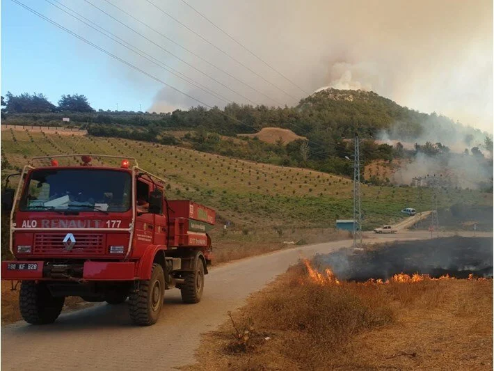Osmaniye'de Orman Yangını