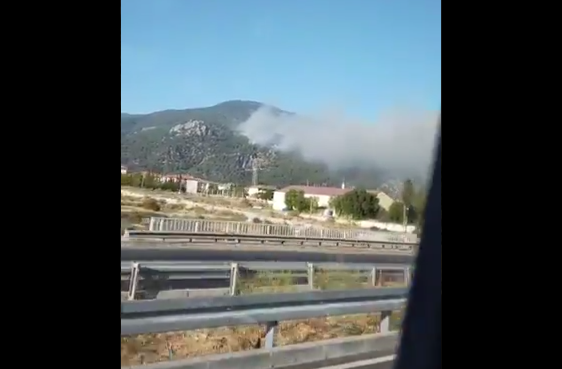 Köyceğiz'de de Orman Yangını Çıkarıldı