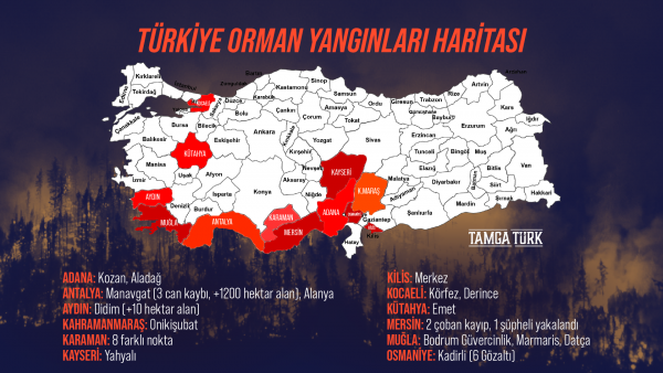 Türkiye 2 Gündür Alev Alev Yanıyor: 12 Farklı Şehirde Orman Yangını