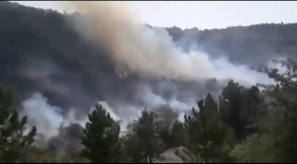 Ankara Kızılcahamam'da Orman Yangını