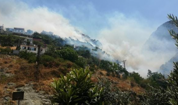 Hatay'da Yerleşim Alanlarına Yakın Noktada Orman Yangını