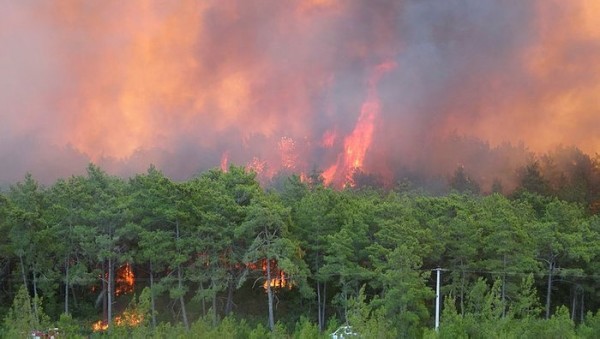 Manavgat'ta 2 Yangın İşçisi Hayatını Kaybetti