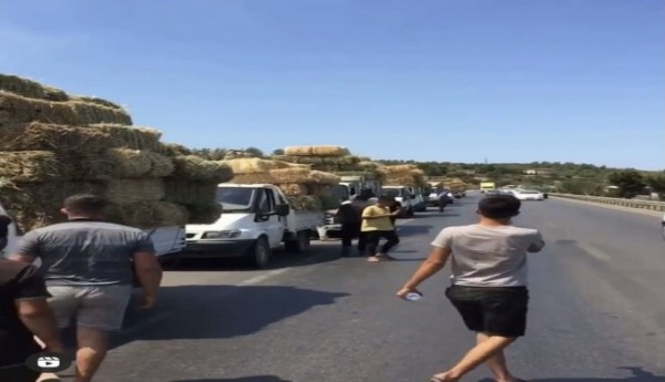 Manavgat'ta Yangın Sebebiyle Aç Kalan Hayvanlara Saman Taşıdılar