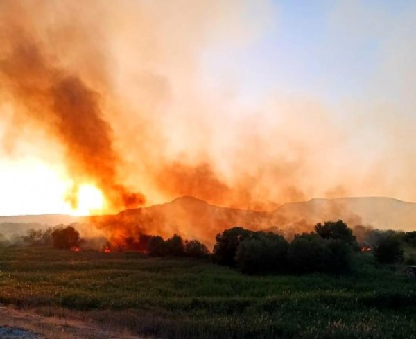 Ankara Nallıhan Kuş Cenneti'nde Çıkan Yangın Kontrol Altına Alındı