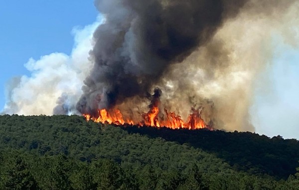 Yunanistan: Uçak Gönderme Teklifimize Türkiye'den Olumlu Yanıt Alamadık