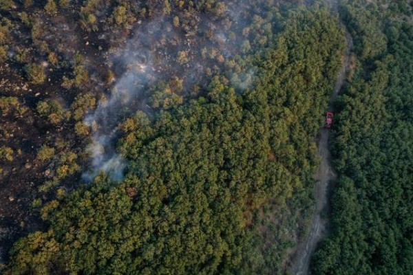 Balıkesir Savaştepe'de Orman Yangını Kontrol Altına Alındı