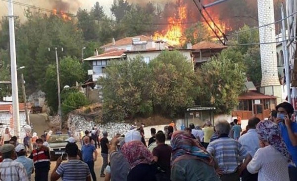 Kavaklıdere'deki Orman Yangını Evleri Sardı