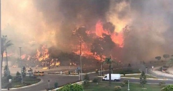 Manavgat Yangınını Çıkaran Şahıs Hakkında Tutuklama Kararı