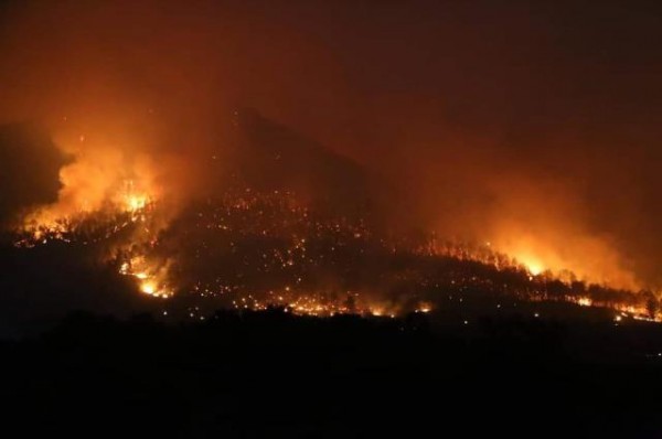 Milas, Bodrum ve Marmaris Yangınlarının Etki Alanları Tespit Edildi