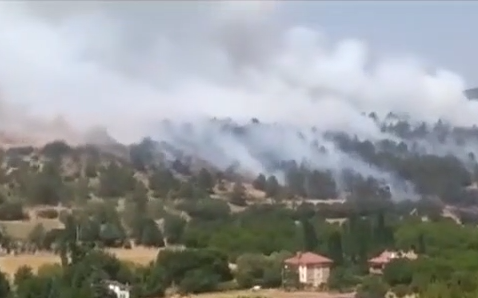 Uşak'ta Orman Yangını