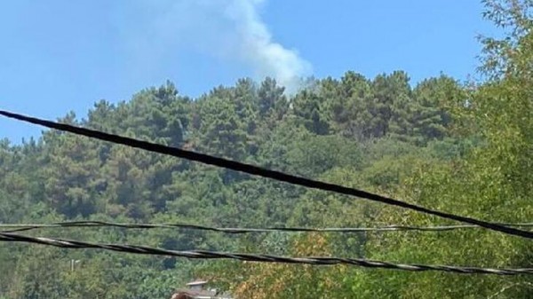 Beykoz'da Orman Yangını